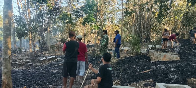 Kebakaran Lahan Perkebunan di Padaherang Pangandaran Luluhkan Hektaran Area
